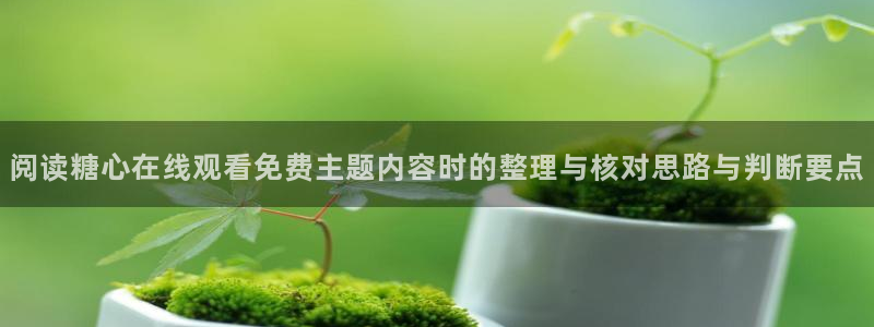 糖心vlog官网入口地址