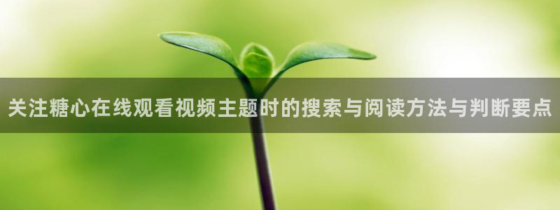 糖心网址