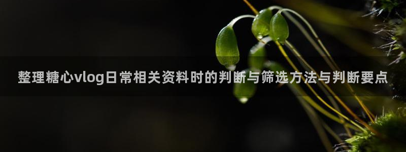 糖心视频在线
