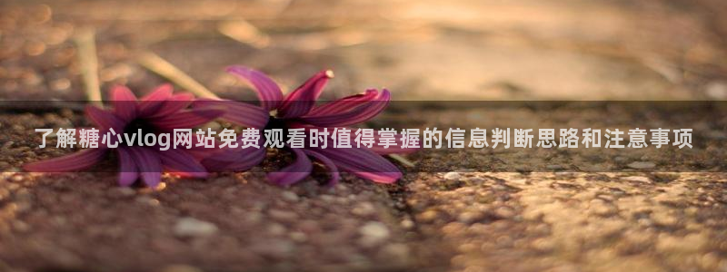 免费糖心vlog:了解糖心vlog网站免费观看时值得掌握的信息判断思路和注意事项
