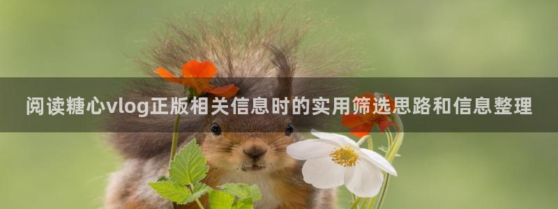 糖心视频免费观看:阅读糖心vlog正版相关信息时的实用筛选思路和信息整理