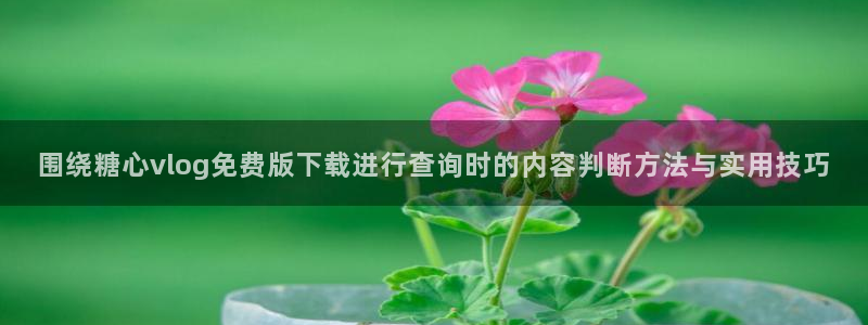 糖心在线下载