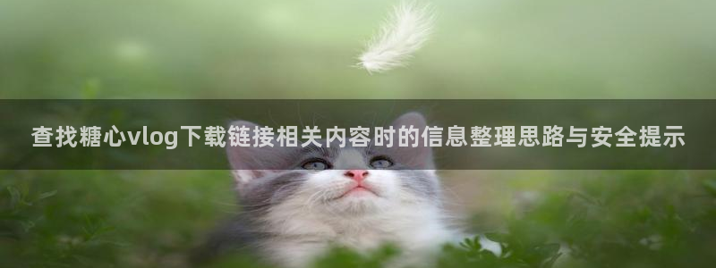 糖心在线视频:查找糖心vlog下载链接相关内容时的信息整理思路与安全提示
